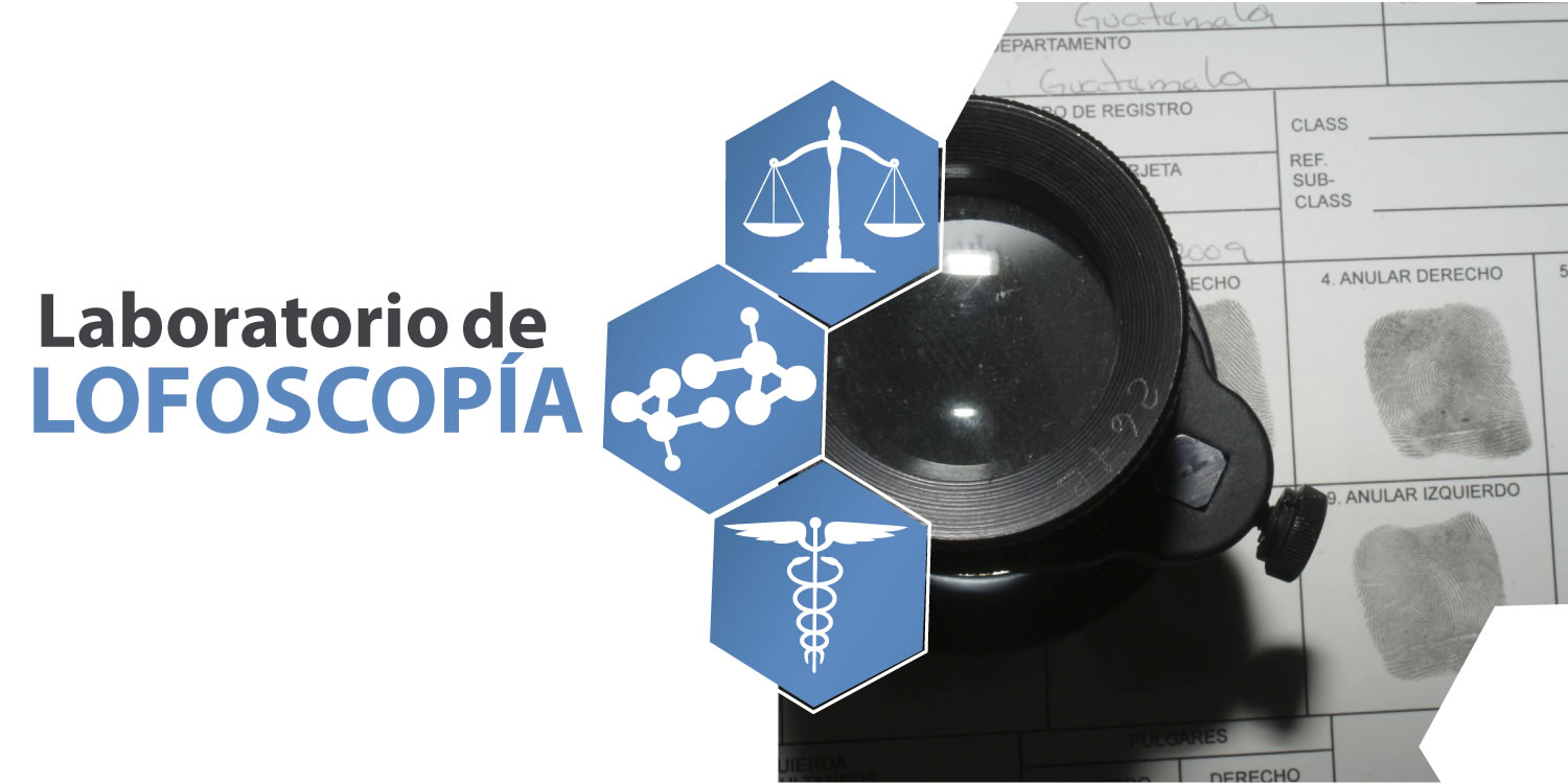 lofoscopia.jpg